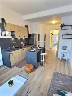 Le Cosy Saint-Christophe - Proche Disney Paris - Wifi Netflix